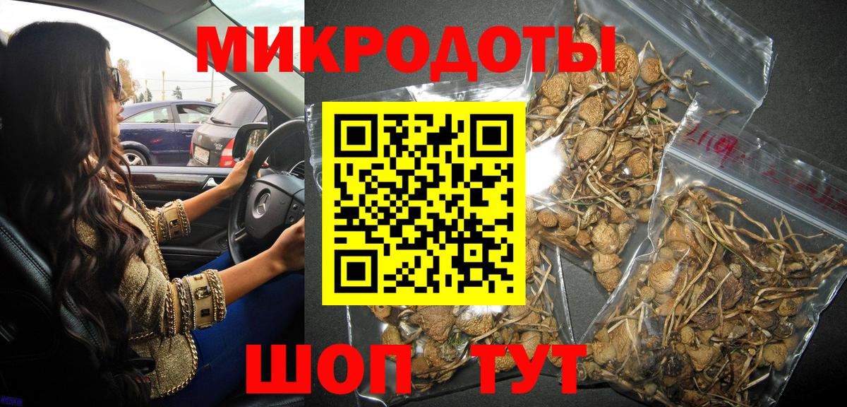 Псилоцибиновые грибы GOLDEN TEACHER Торжок