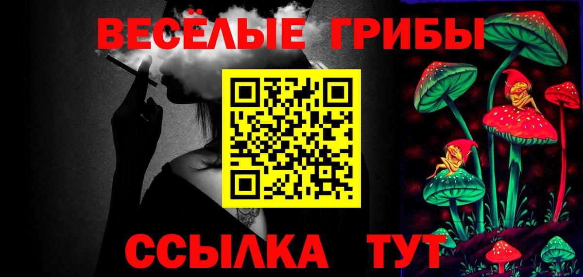 Торжок  наркотики  Псилоцибиновые грибы MAGIC MUSHROOMS  Вход с VPN  Псилоцибиновые грибы прущие грибы 