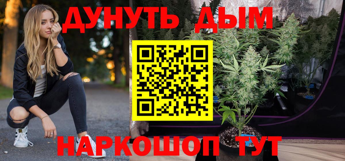 Бошки Шишки AK-47  Вход с VPN  Марихуана марихуана  Бошки Шишки планчик  Бошки марихуана сатива  Торжок 
